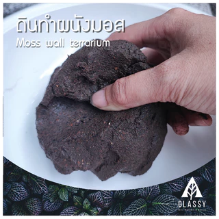 ดินทำผนังมอส Moss wall soil Terrarium ดินสวนขวดTerrariumแนวตั้ง