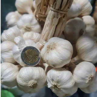 กระเทียมไทย กลีบเล็ก เนื้อแน่น สดใหม่ ปลอดสารพิษ น้ำหนัก 1 กิโลกรัม