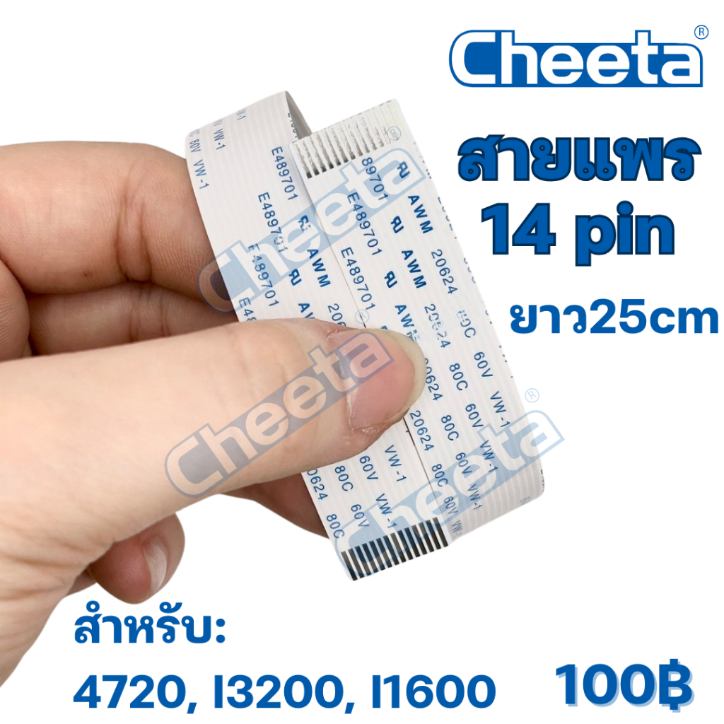 สายแพรหัวพิมพ์ DX11/DX10/I3200/4720 พร้อมส่ง