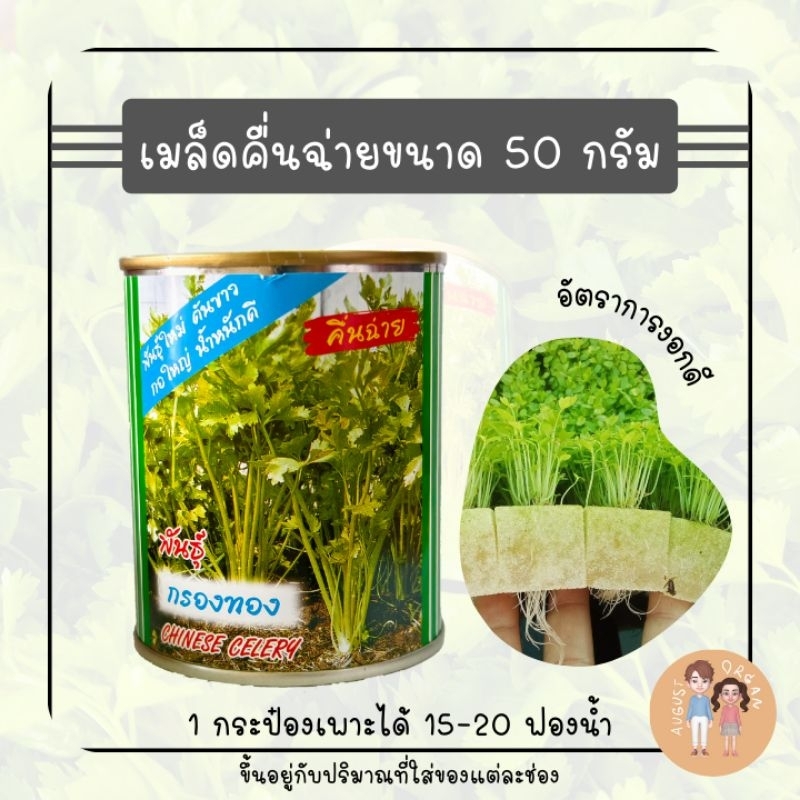 เมล็ดคื่นฉ่าย สำหรับปลูกพืชไฮโดรโปนิกส์ (ขนาด 50 กรัม)