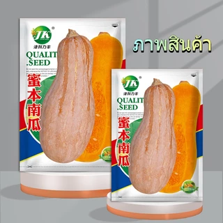 50 เมล็ดเมล็ดพันธุ์ฟักทองน้ำผึ้ง บัตเตอร์นัท เมล็ดพันธุ์ผัก ผักสวนครัว ผักออร์แกนิก
