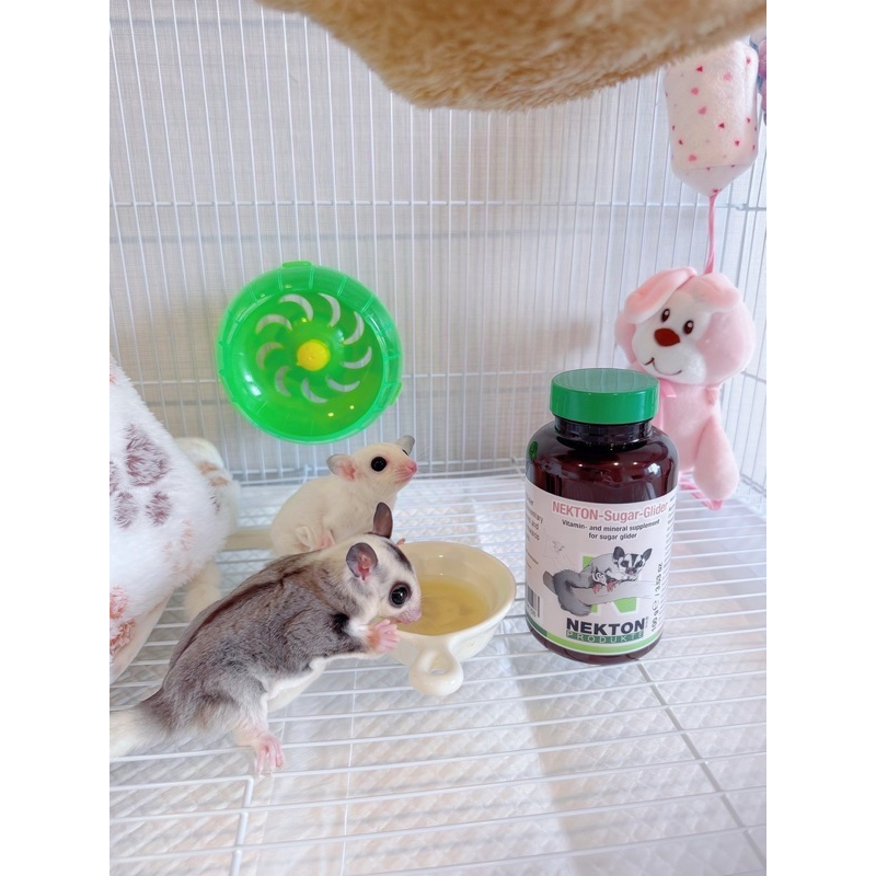 Nekton วิตามินชูการ์ไกลเดอร์