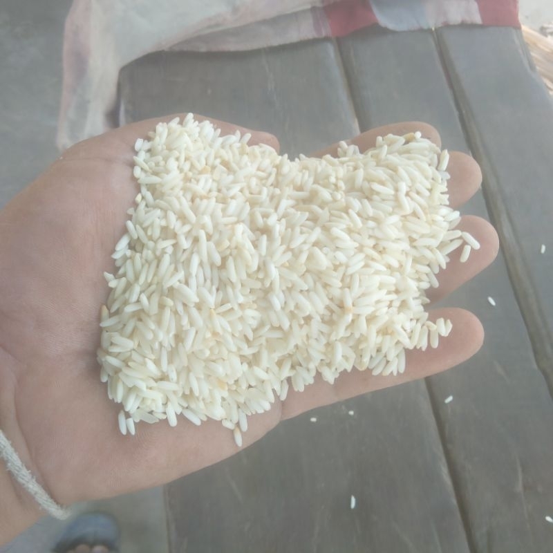 ข้าวเหนียวเก่า ข้าวเหนียวกข 6 ข้าวเหนียวทำสาโท ข้าวเหนียวทำขนม