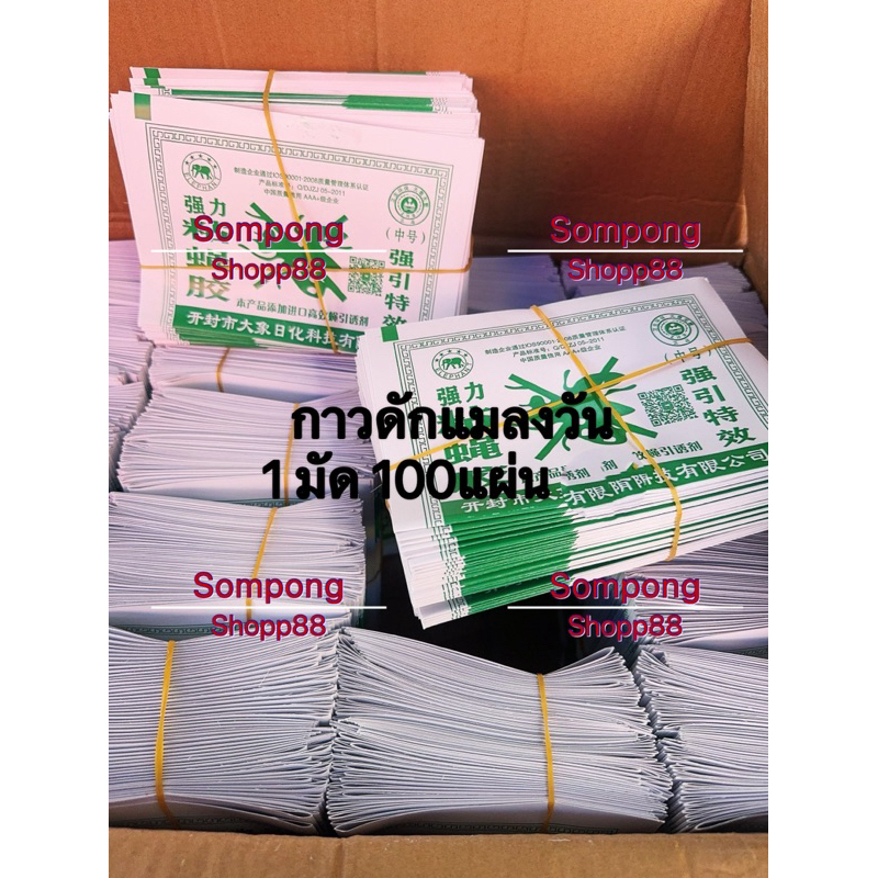 ส่งไว💥กาวแมลงวัน 100 แผ่น> แผ่นกระดาษ ปลอดภัยใช้ง่าย แผ่นสีเขียวเหนียวแน่นติดดี แผ่นใหญ่ ขนาด แผ่นกาว 12.5x18.5cm