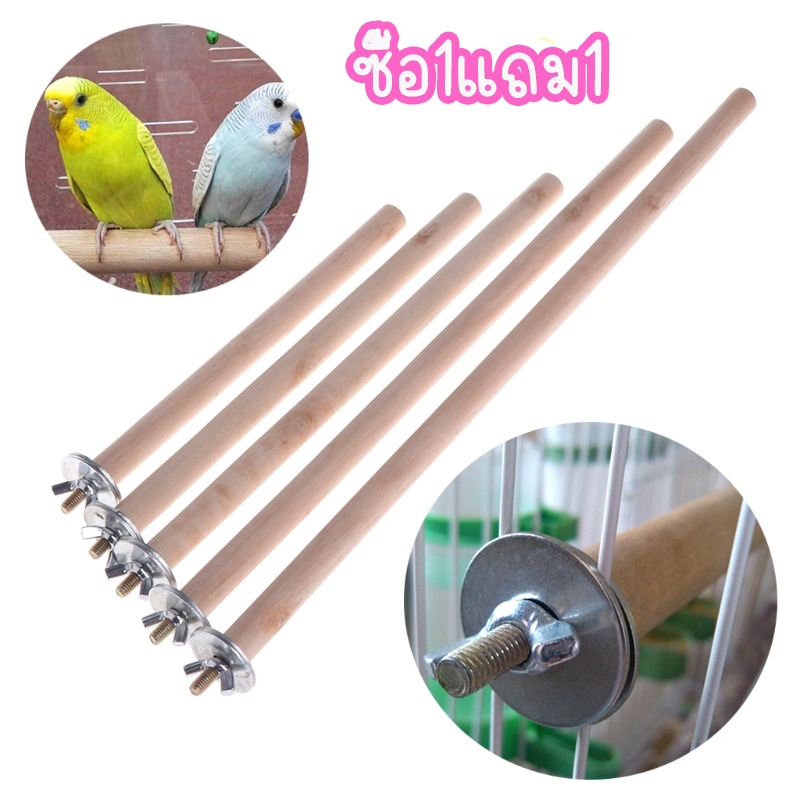 ซื้อ1แถม1 ไม้สำหรับนกเกาะ คอนไม้สำหรับนกเกาะ กิ่งไม้สำหรับนกแก้วพร้อมกรงเล็บสำหรับนก