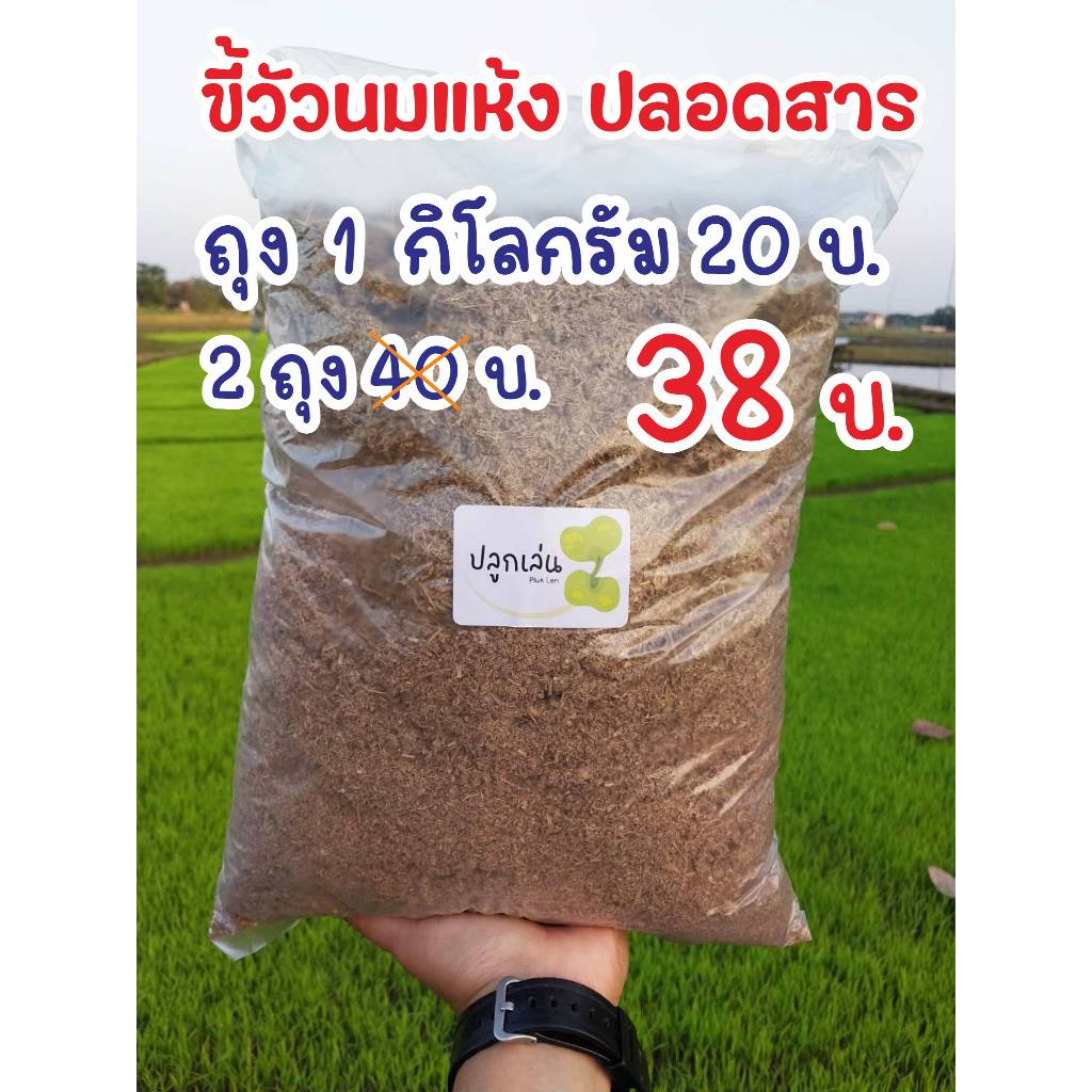 ขี้วัวแห้ง (2ถุง 38 บาท) ขี้วัวนมแห้ง ขี้วัวโม่ ปุ๋ยคอก ปลอดสาร 100%
