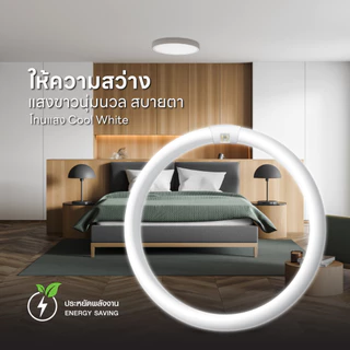 HITACHI หลอดฟลูออเรสเซนต์กลม T9 (แสงคูลไวท์)