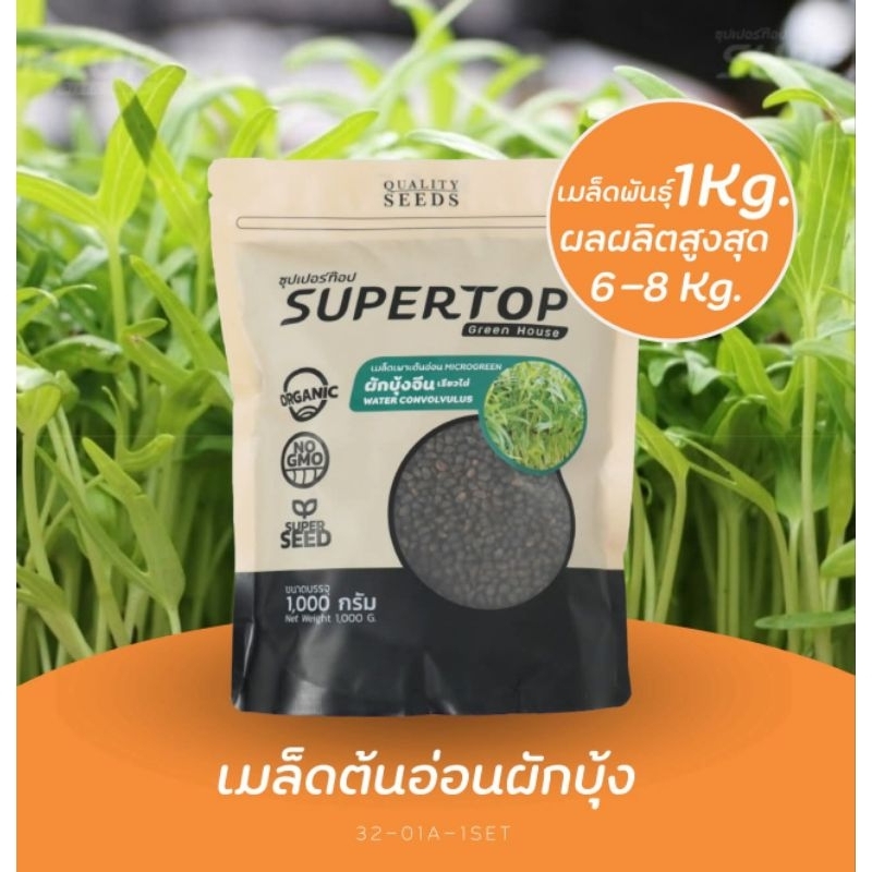 เมล็ดเพาะต้นอ่อน ผักบุ้งจีน พันธุ์เรียวไผ่ SUPERTOP ขนาด 1 KG. อัตรางอก 99%