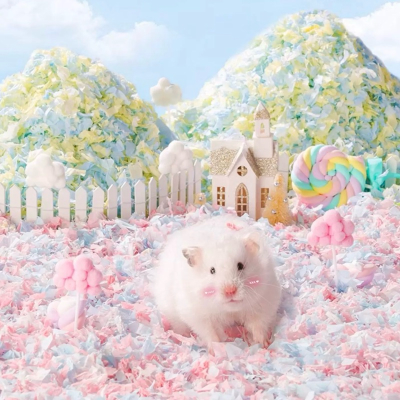 (N.KMF) รองกรงกระดาษใยฝ้าย Bucatstate, Carno ถุงใหญ่ อุปกรณ์ของใช้แฮมสเตอร์