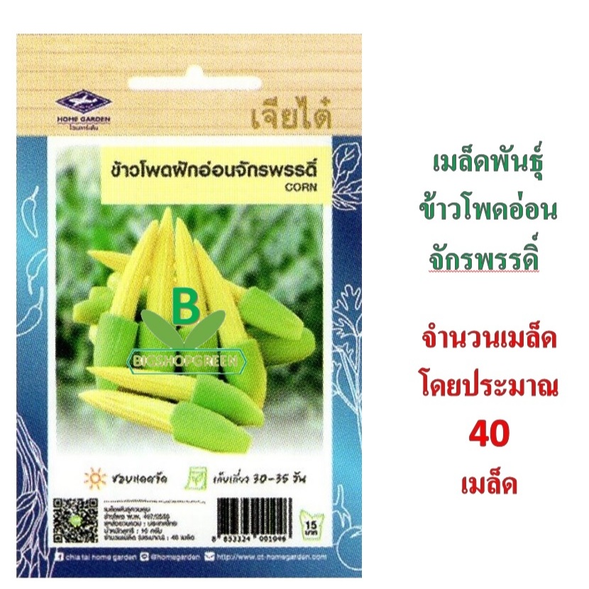 5 แถม 1 เมล็ดพันธุ์ -ข้าวโพดฝักอ่อน จักรพรรดิ เจียไต๋
