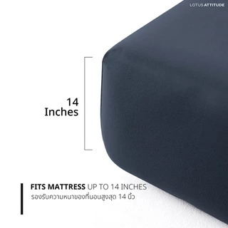 LOTUS ATTITUDE ชุดผ้าปู เทคโนโลยีผ้าถนอมผิว ทอ 990 เส้น รุ่น Norden ส่งฟรี