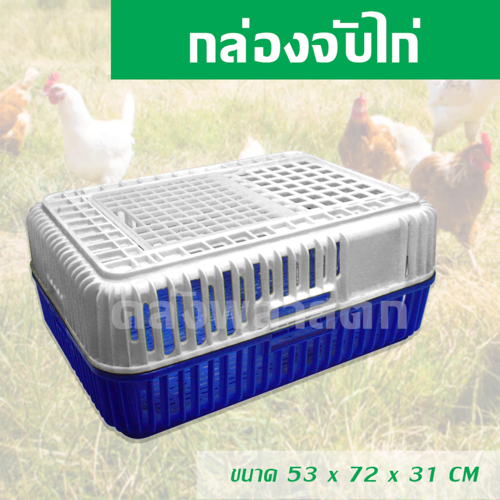 กล่องจับไก่ พร้อมฝาปิด ใช้เคลื่อนย้ายไก่และสัตว์ปีก - 0120