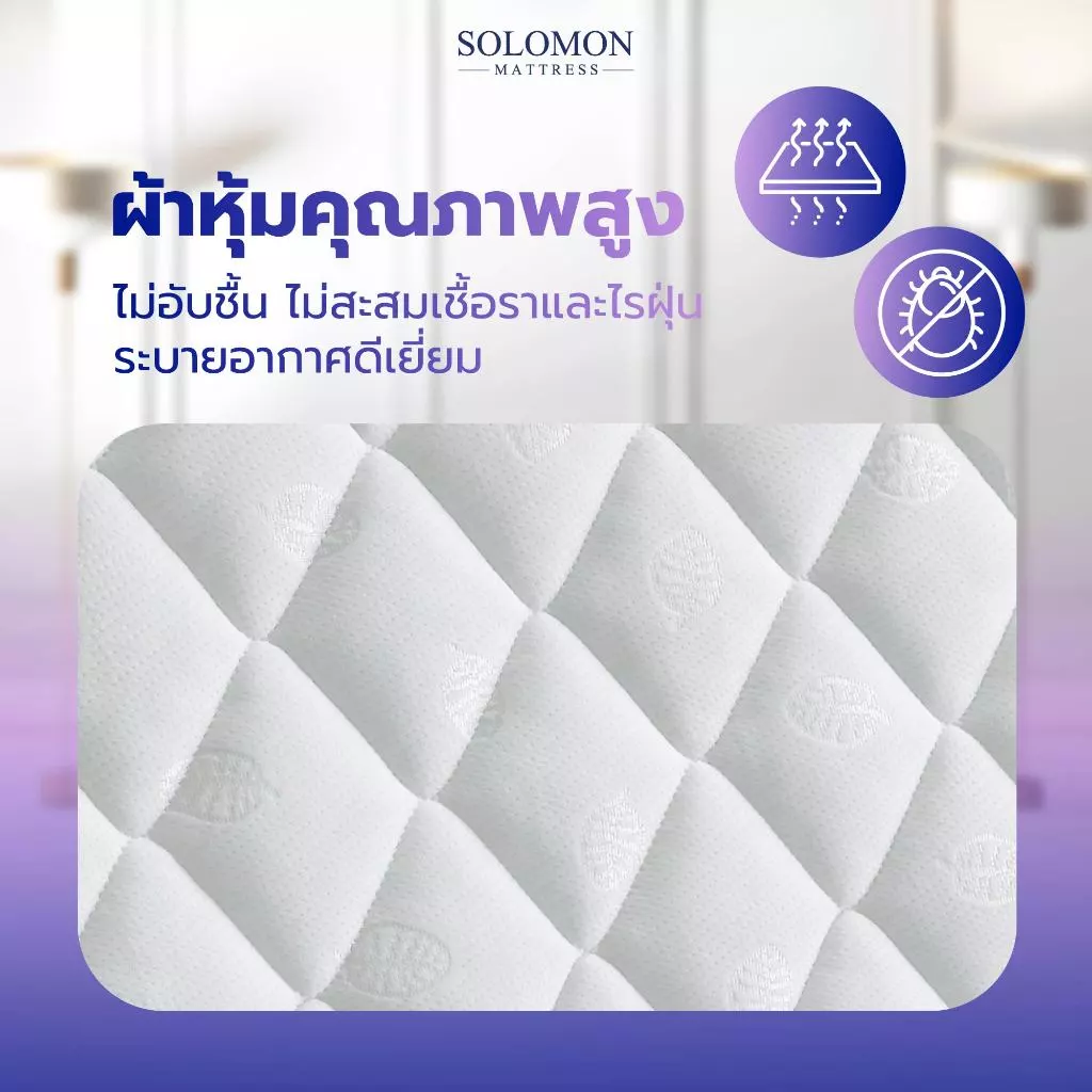 Solomon ที่นอนสปริงเสริมยางพารา รุ่น Mother หนา 10 นิ้ว thumbnail 5