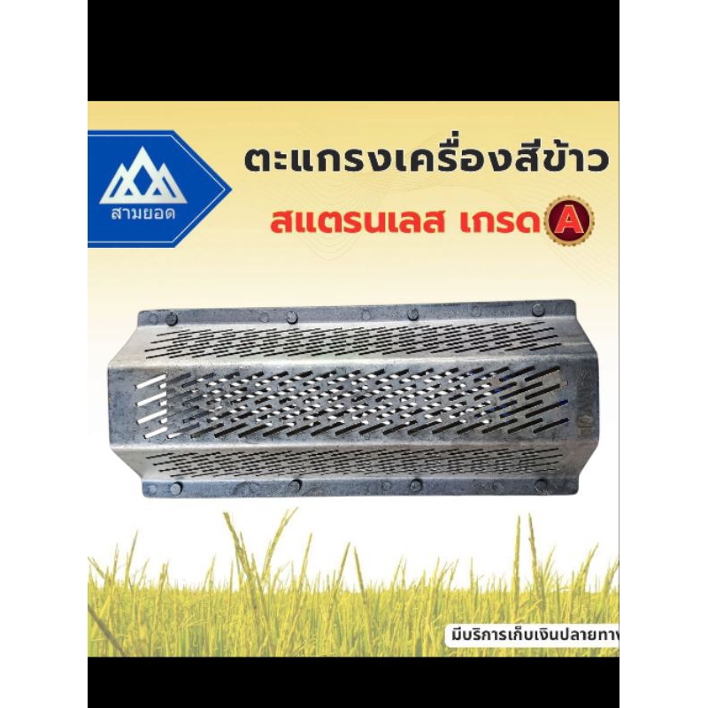 รูปภาพ 5