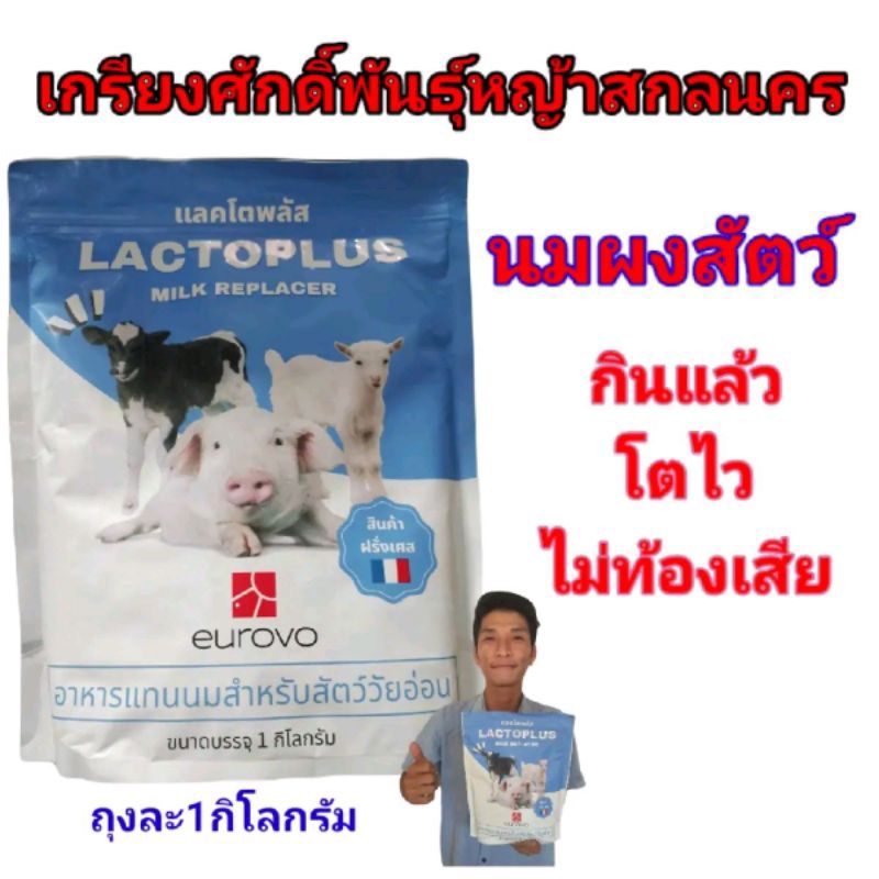 #นมผงเลี้ยงสัตว์ #นมผงสัตว์อ่อน #นมผงวัว