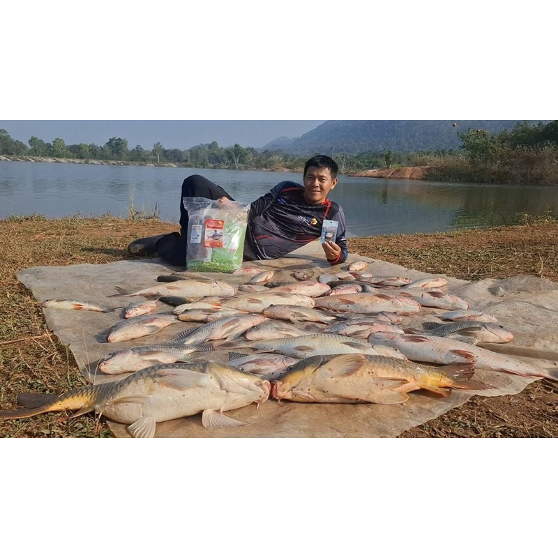 ชุดเหยื่อตกปลา(ปลายิ้ม)พร้อมตก เหยื่อตกปลาชุดรวมเหยื่อ2กิโลกรัม 5กิโลกรัม มีให้เลือก 2 แบบ 1.ชุดตกยี่สก2.ชุดตกปลารวม - รูปที่ 3