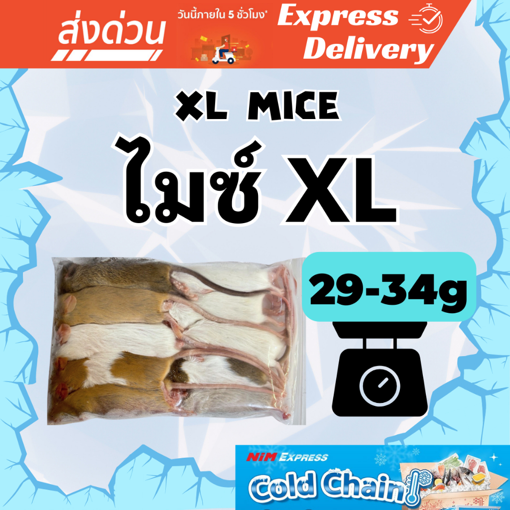 หนูไมซ์ XL แช่แข็ง(29-37g) 10 ตัว/แพ็ค Mice XL อาหารงู อาหารสัตว์เลื้อยคลาน เกรดพรีเมียม สะอาด ปลอดเชื้อโรค จัดส่งทันที