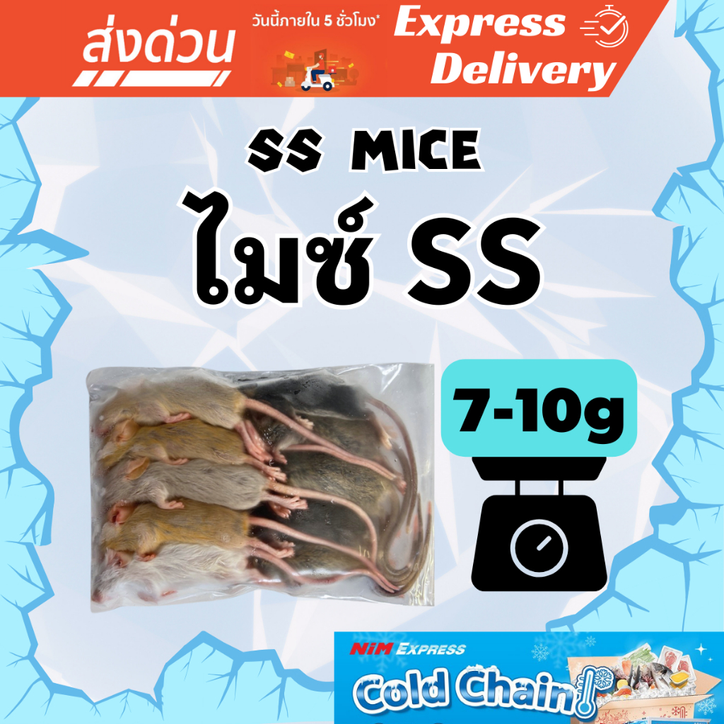ส่งด่วน! หนูไมซ์ SS (Mice SS) 7-10 g. 🐁🧊 แพ็ค 10 ตัว 🧊 หนูแช่แข็ง อาหารแช่แข็ง หนูเหยื่อ Frozen Mice 🐁