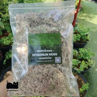 สแฟกนั่มมอส Sphagnum moss 12 L และสเฟกนั่มมอส 50g วัสดุปลูกต้นไม้และใช้สำหรับเลี้ยงสัตว์ ร้านแมวดำทำสวน