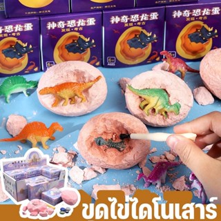 ของเล่นขุด ชุดขุดฟอสซิล ไดโนเสาร์ หาสมบัติ ของเล่นนักโบราณคด…