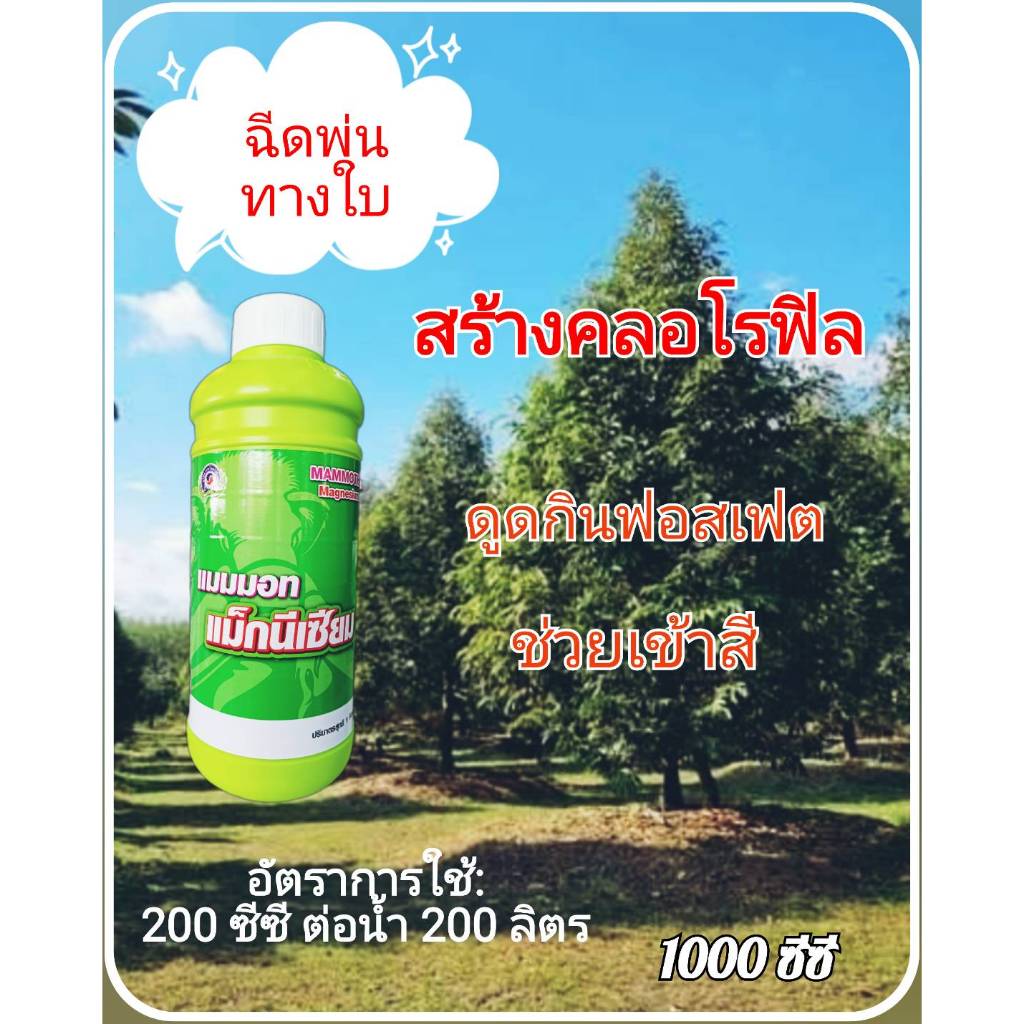 แมมมอท แม็กนีเซียม ขนาด 1 ลิตร  แมมมอท แม็กนีเซียม ขนาด 4 ลิตร  เร่งเข้าสี สร้างคลอโรฟิล บริษัทเทพวัฒนา