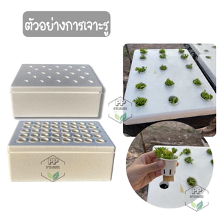 กล่อง 4 ใบ + ฟรีที่เจาะ กล่องโฟมปลูกผักไฮโดรโปนิกส์ชุด 4 ใบ ฟรีที่เจาะรู (สามารถออกใบกำกับภาษีได้)
