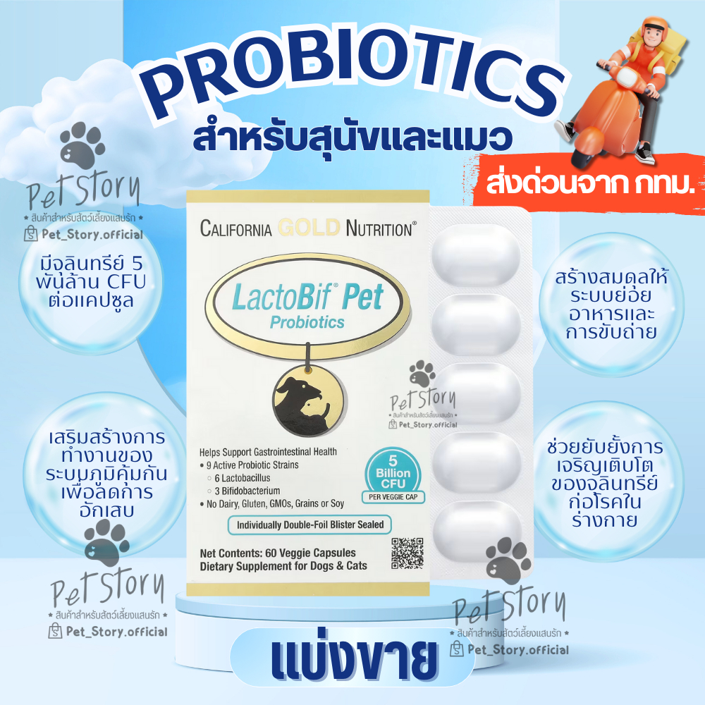 [แบ่งขาย] LactoBif Pet อาหารเสริม โปรไบโอติกสำหรับสุนัขและแมว ผลิตจาก USA มีจุลินทรีย์ 5 พันล้าน CFU ต่อแคปซูล
