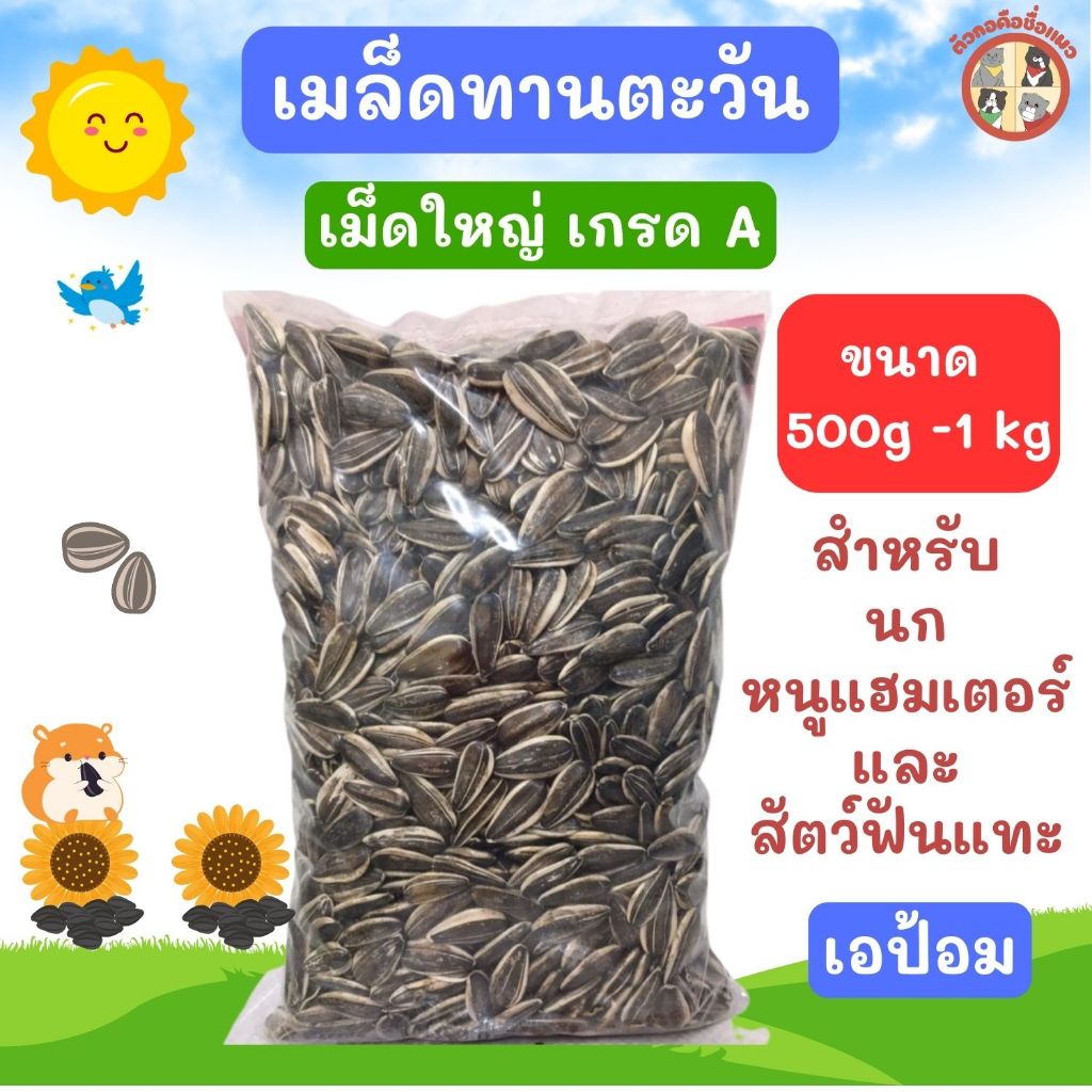 เมล็ดทานตะวัน เมล็ดใหญ่ เกรดA เมล็ดทานตะวันเอป้อม ขนาดบรรจุ 500กรัม - 1กิโลกรัม อาหารสำหรับนก หนูแฮมเตอร์และสัตว์ฟันแทะ