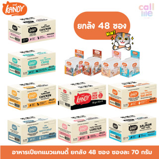 Kandy อาหารเปียกแมวแคนดี้ ไม่ใส่เกลือ [ยกลัง48ซอง] ซองละ 70 …