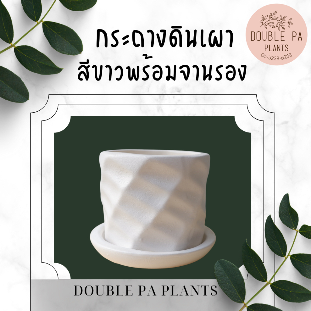 กระถางปลูกต้นไม้ดินเผาสีขาว มินิมอล พร้อมจานรอง ขนาด 4 นิ้ว ทรงสับปะรด