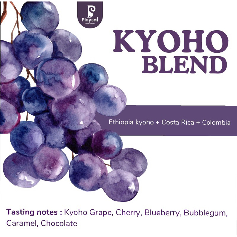 เมล็ดกาแฟKyoho Blend (องุ่นโควโฮ เบลน) รูปที่ 3