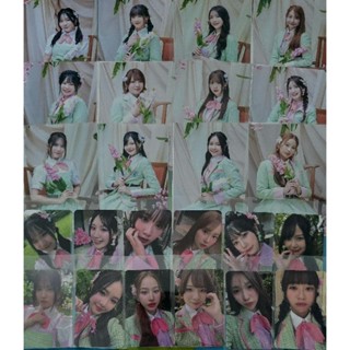 รูป และ การ์ด CGM48 Sakura ขายแยกและแพ็คคู่