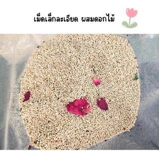 รองกรงหนูแฮมสเตอร์ Chibi san ซังข้าวโพด รองกรง เม็ดละเอียด ซึมซับ เก็บกลิ่น แฮมสเตอร์ เม่นแคระ
