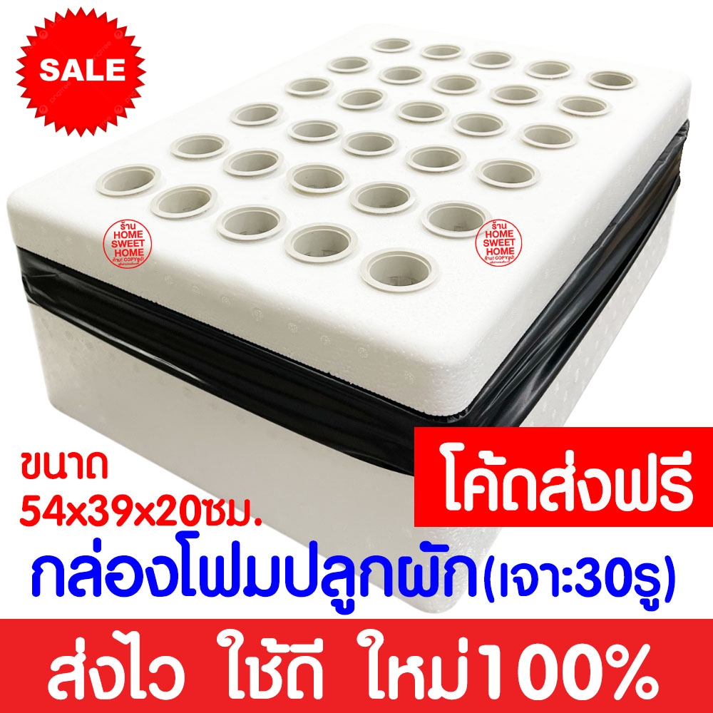 รูปภาพ 2