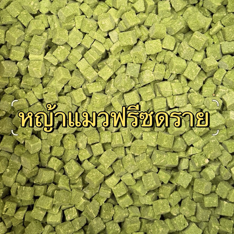 หญ้าแมวฟรีซดราย ขนมแมวไม่เค็ม มีวิตามิน ขนมฟรีซดราย หญ้าแมวผสมอกไก่ ขนมแมวฟรีซดราย 15g 30g 60g 80g.