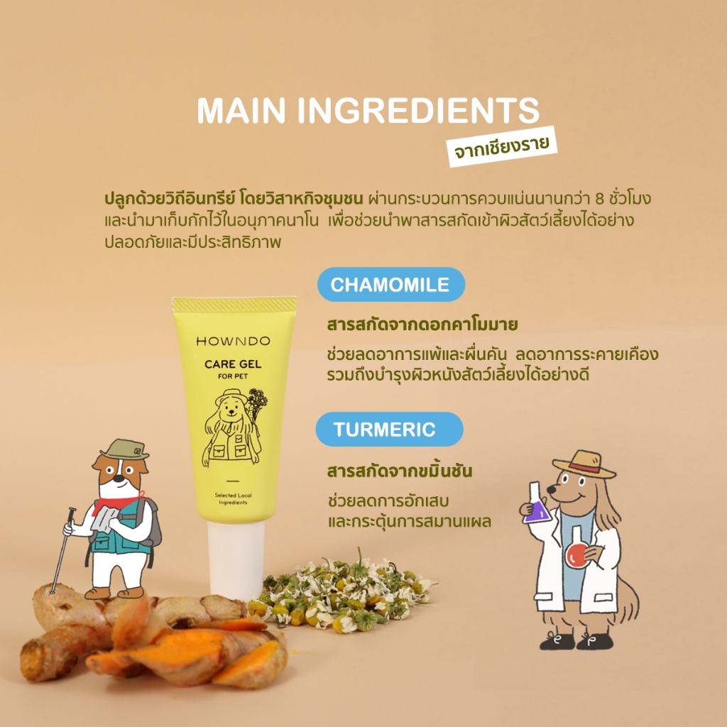 รูปภาพ 5