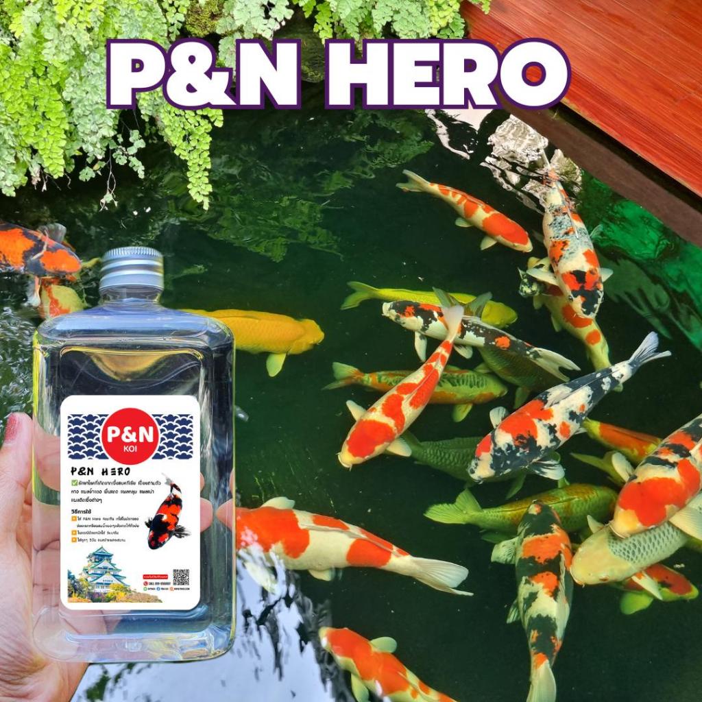 Hero ผลิตภัณฑ์สำหรับปลาคาร์ฟและปลาสวยงาม 100cc-500 cc