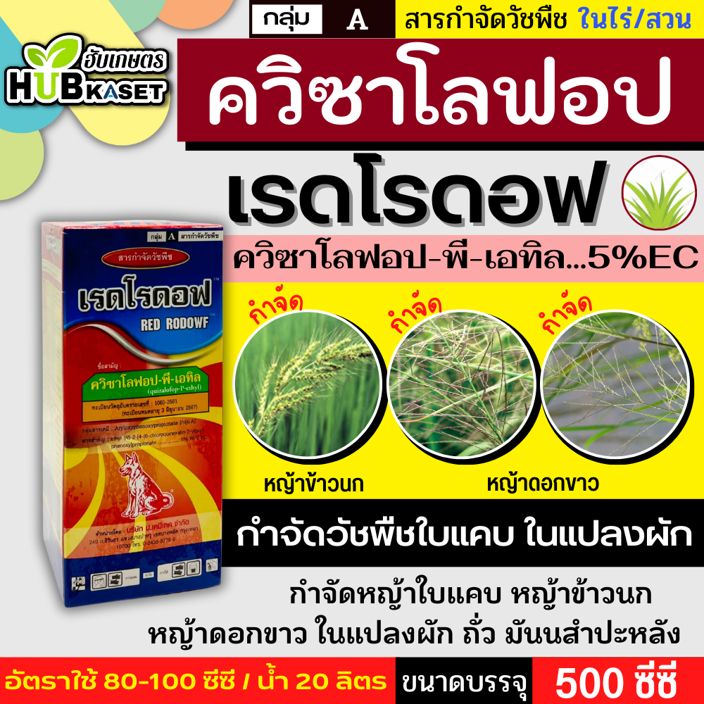 เรดโรดอฟ 500ซีซี (ควิซาโลฟอป-พี-เทฟูริล4%EC) ฆ่าใบแคบในแปลงผัก