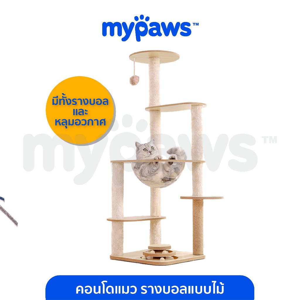 My Paws คอนโดแมว มีรางบอล มีหลุมอวกาศ มีปอมๆให้น้องแมวเล่น บ้านแมว