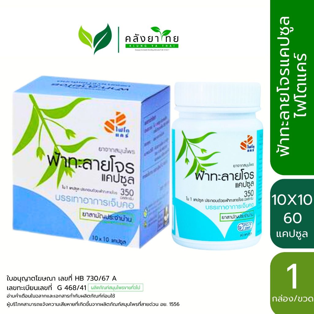 Phyto Care ฟ้าทะลายโจรแคปซูล 350 mg. ไฟโตแคร์ GPO ฟ้าทะลายโจรองค์การเภสัชกรรม