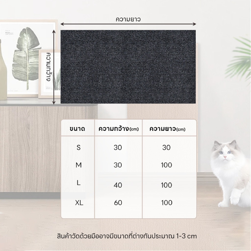 รูปภาพ 2