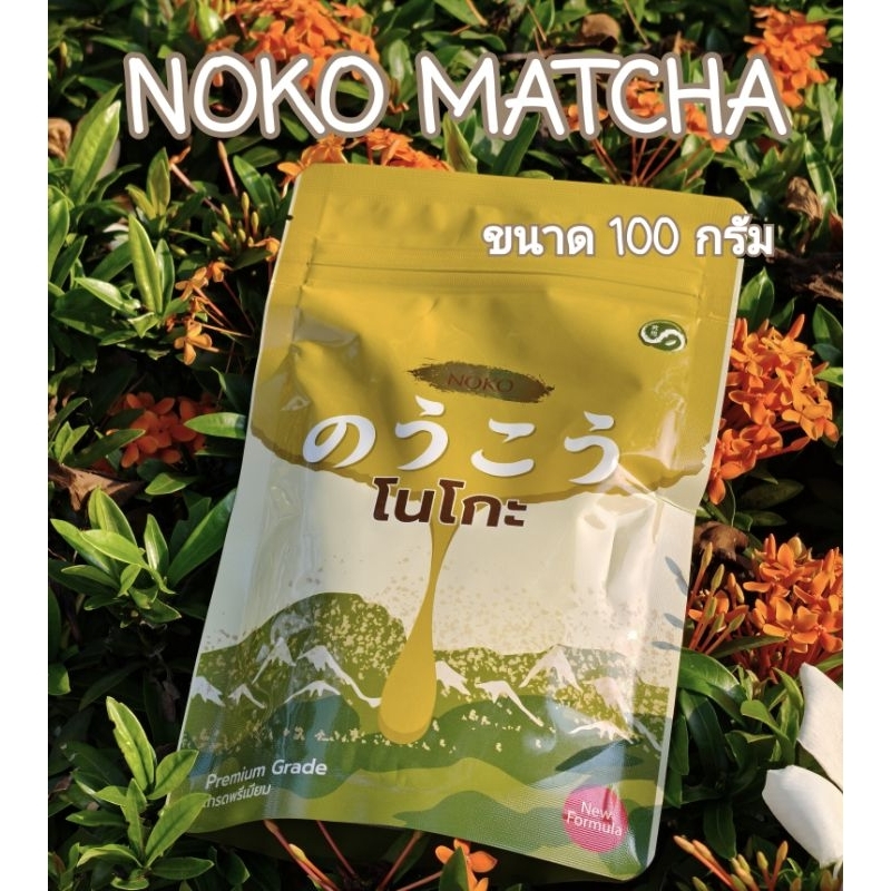 NOKO MATCHA โนโกะ มัทฉะ เกรดพรีเมี่ยม(พร้อมส่ง)