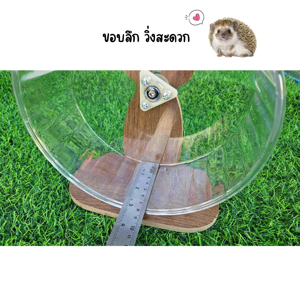จักรปั่นหนูแฮมสเตอร์ กระรอก ชูก้าร์ไกลเดอร์ จักรปั่นอะคริลิค พร้อมขาตั้ง ของเล่นสัตว์เล็ก - รูปที่ 3