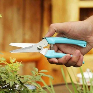 กรรไกรตัดกิ่ง ปากตรง ปากโค้ง ปลายแหลม ขนาด 7