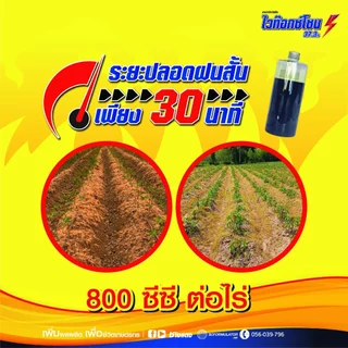 ไวท๊อกซ์โซน - ไดควอตไดโบรไมด์ 37.3 % SL - (ช้างแดง) - ขนาด 4 ลิตร- กำจัดวัชพืชใบแคบและใบกว้าง
