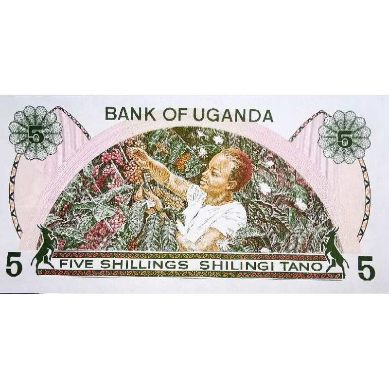 แบงก์​อูกันดา​ Uganda, 5 Shilling​s, ไม่​ผ่าน​ใช้​ UNC, B1398
