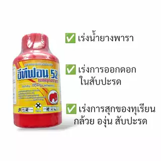 อีทีฟอน 52% 100 ซีซี เร่งการสุกของผลไม้ ทุเรียน มะม่วง กล้วย เร่งการออกดอกในสับปะรด เร่งน้ำยางพารา