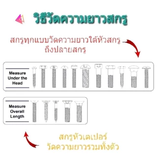 สกรูตัวยาว พิเศษ หัวกลมแฉก (+) สกรูร้อยมอเตอร์