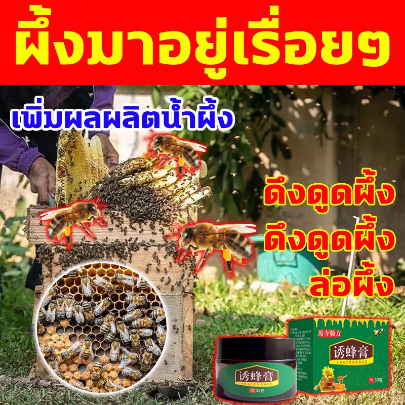 1ขวดล่อผึ้งได้100กล่อง ฟีโรโมนล่อผึ้ง ผึ้งภายใน 10 กิโลเมตรทั้งหมดมาแล้ว ฟีโรโมนผึ้ง ไขล่อผึ้ง ไขล่อผึ้งโพรง