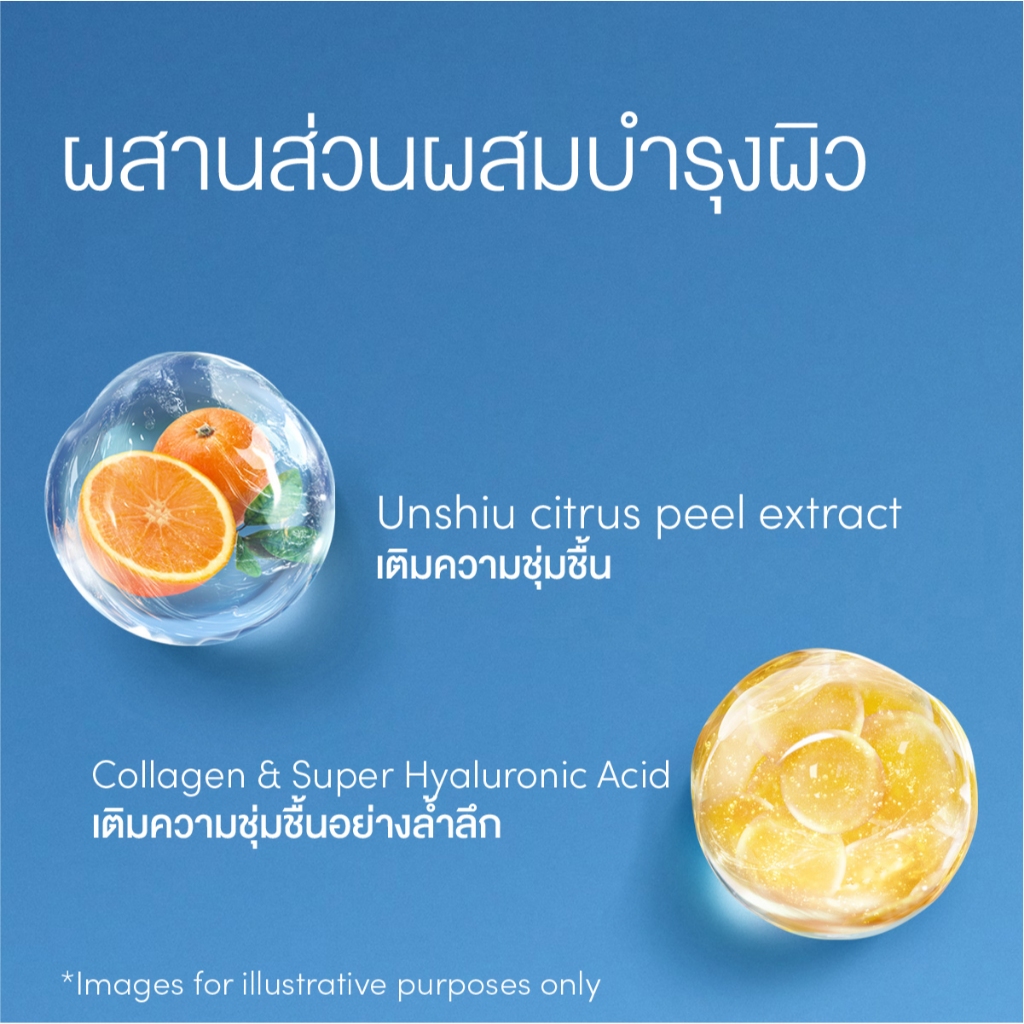 รูปภาพ 7